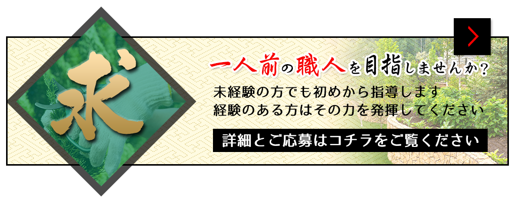 採用情報