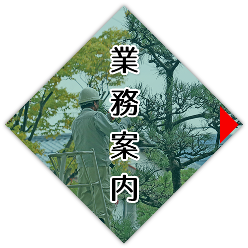 業務案内